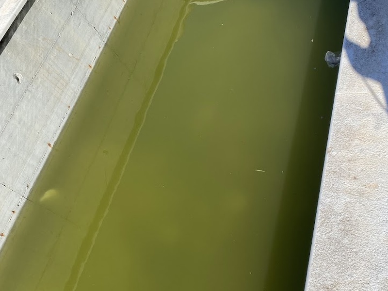 Prijava - neodržavani bazen Gripole 54C, kč. 8821/10