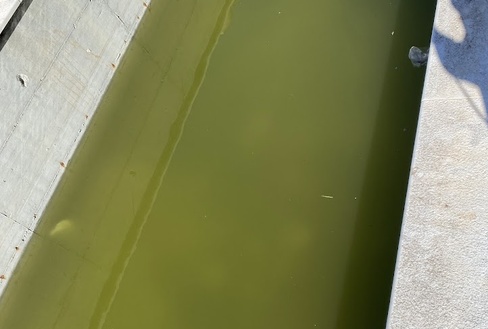 Prijava - neodržavani bazen Gripole 54C, kč. 8821/10