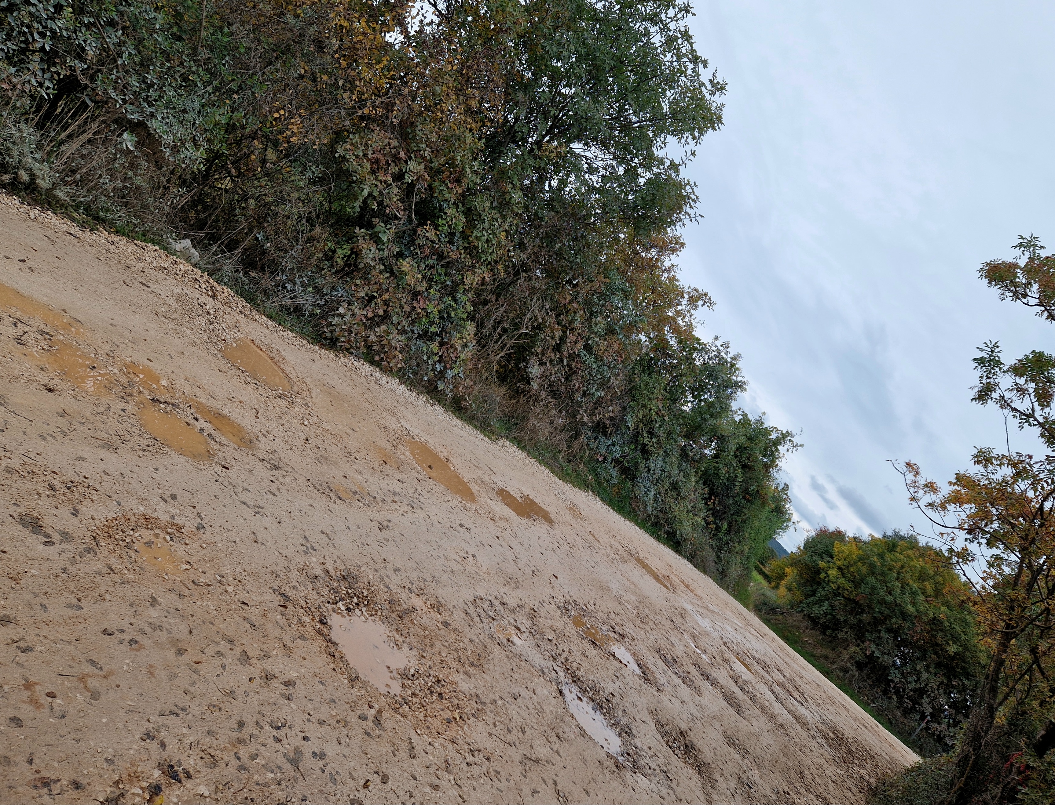 Pritužba na stanje ceste u Španidigi