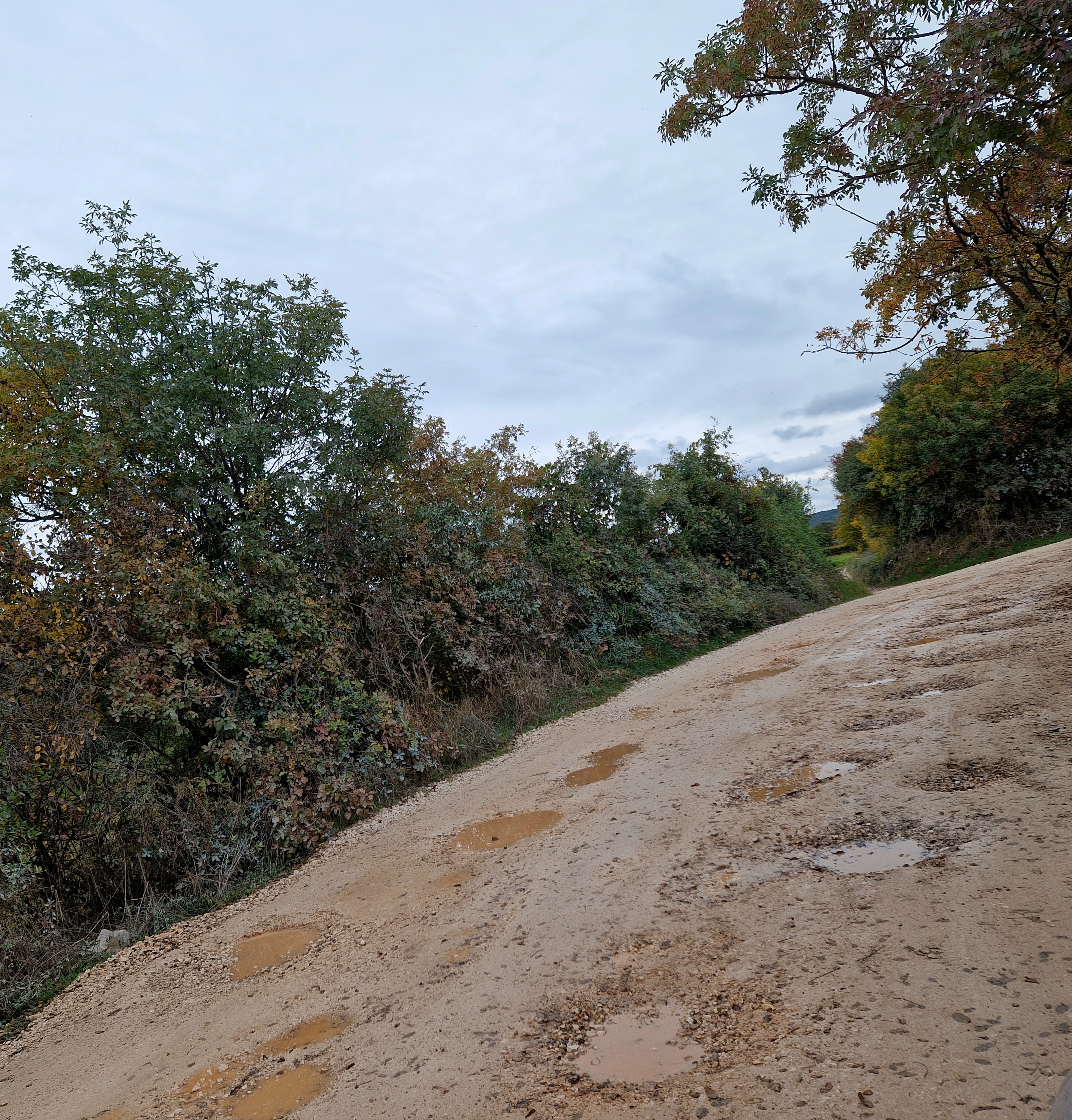 Pritužba na stanje ceste u Španidigi