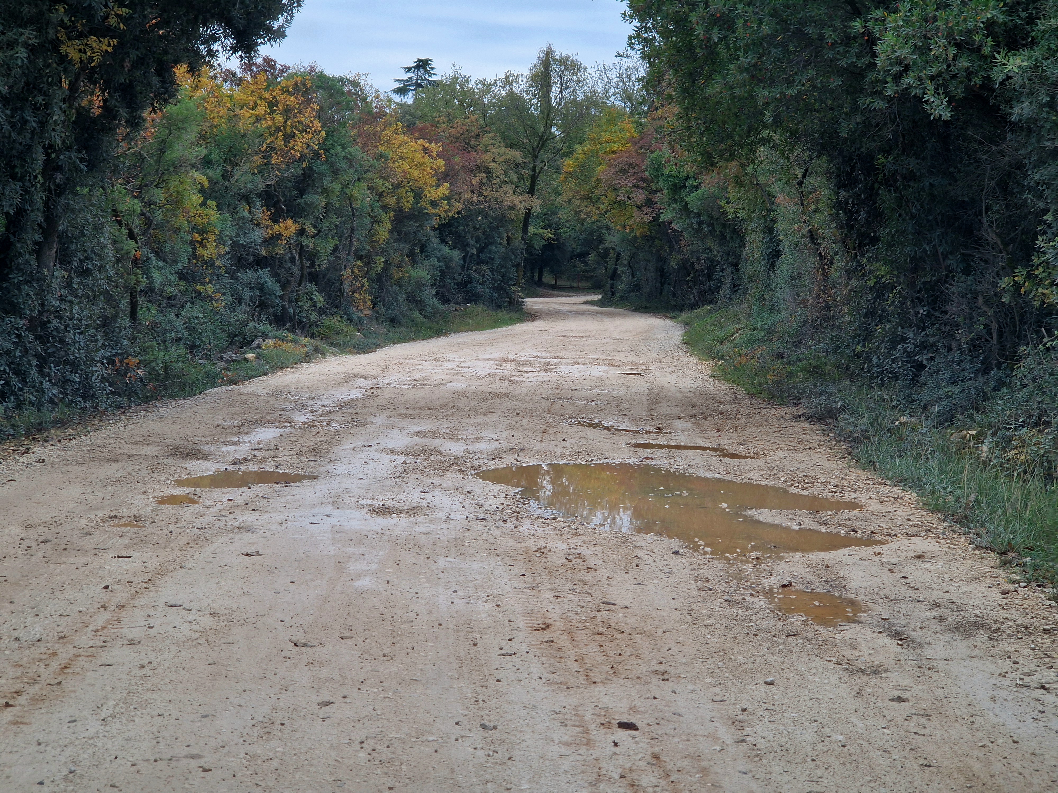 Pritužba na stanje ceste u Španidigi